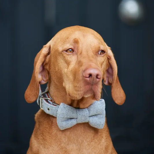 Bow Tie - Grey Tweed