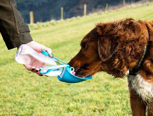 Dog Water Bottle with Fold-Out Leaf Bowl