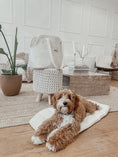 Load image into Gallery viewer, Marshmallow┃The Bouclé Carrier - Pup&Puppy
