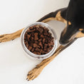 Load image into Gallery viewer, Soft Bites Liver & Blueberry Dog Treats (150g)
