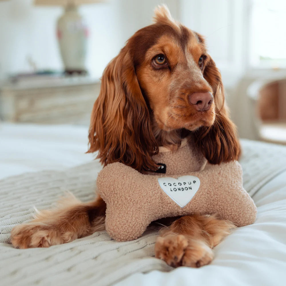 Teddy Rupert Bone Toy - Pup&Puppy