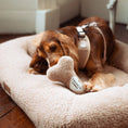 Load image into Gallery viewer, Teddy Rupert Bone Toy - Pup&Puppy
