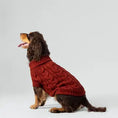 Load image into Gallery viewer, Cable Knit Pullover Dog Jumper - Brick - Pup&Puppy
