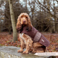 Load image into Gallery viewer, LUXE Quilted Dog Coat - Pup Plaid - Pup&Puppy
