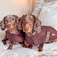 Load image into Gallery viewer, LUXE Quilted Dog Coat - Pup Plaid - Pup&Puppy
