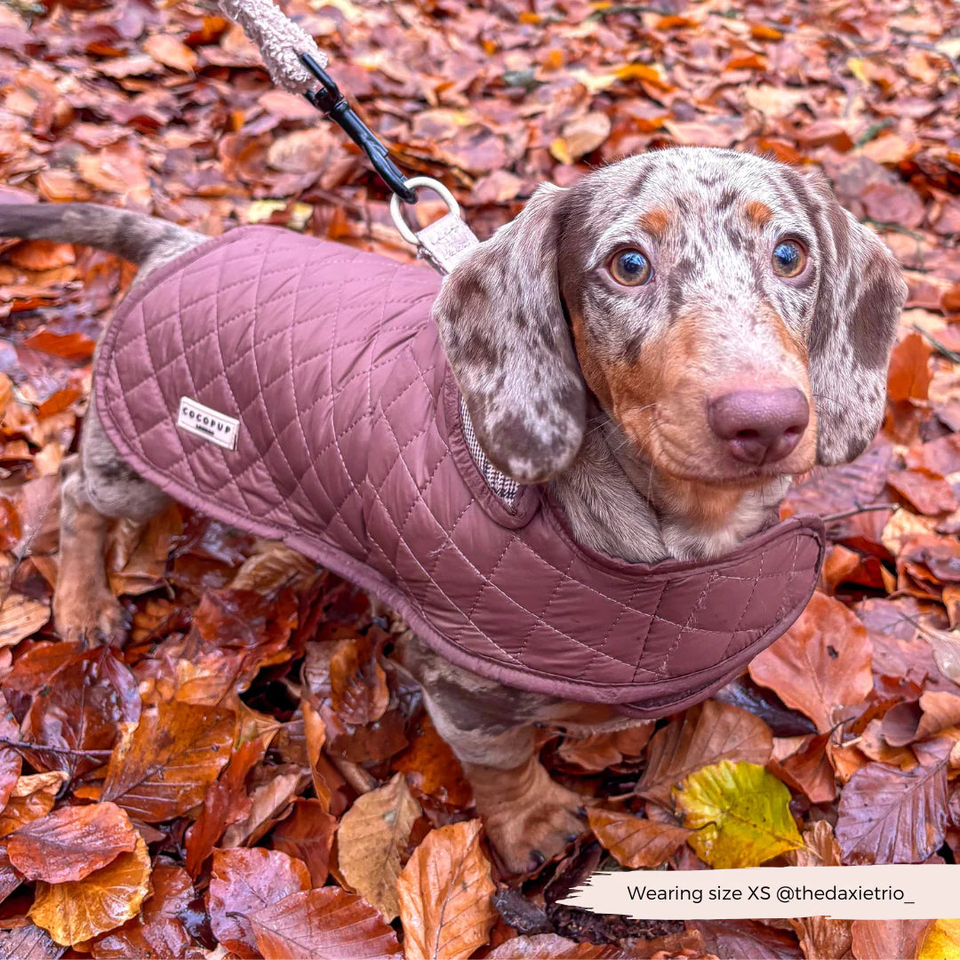 LUXE Quilted Dog Coat - Pup Plaid - Pup&Puppy