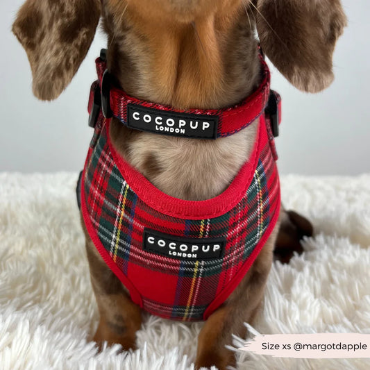 Tartan Collar - Pup&Puppy