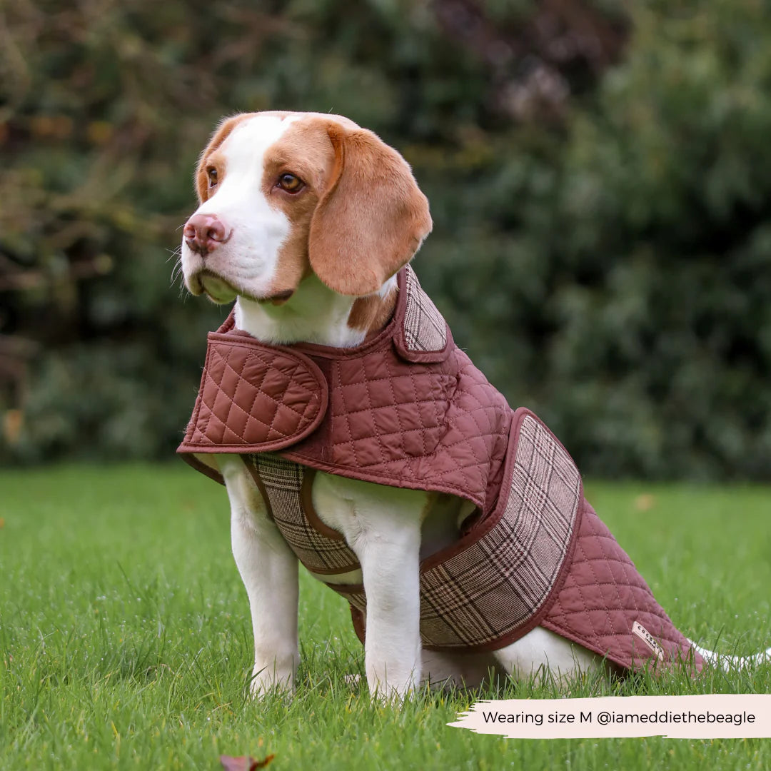 LUXE Quilted Dog Coat - Pup Plaid - Pup&Puppy