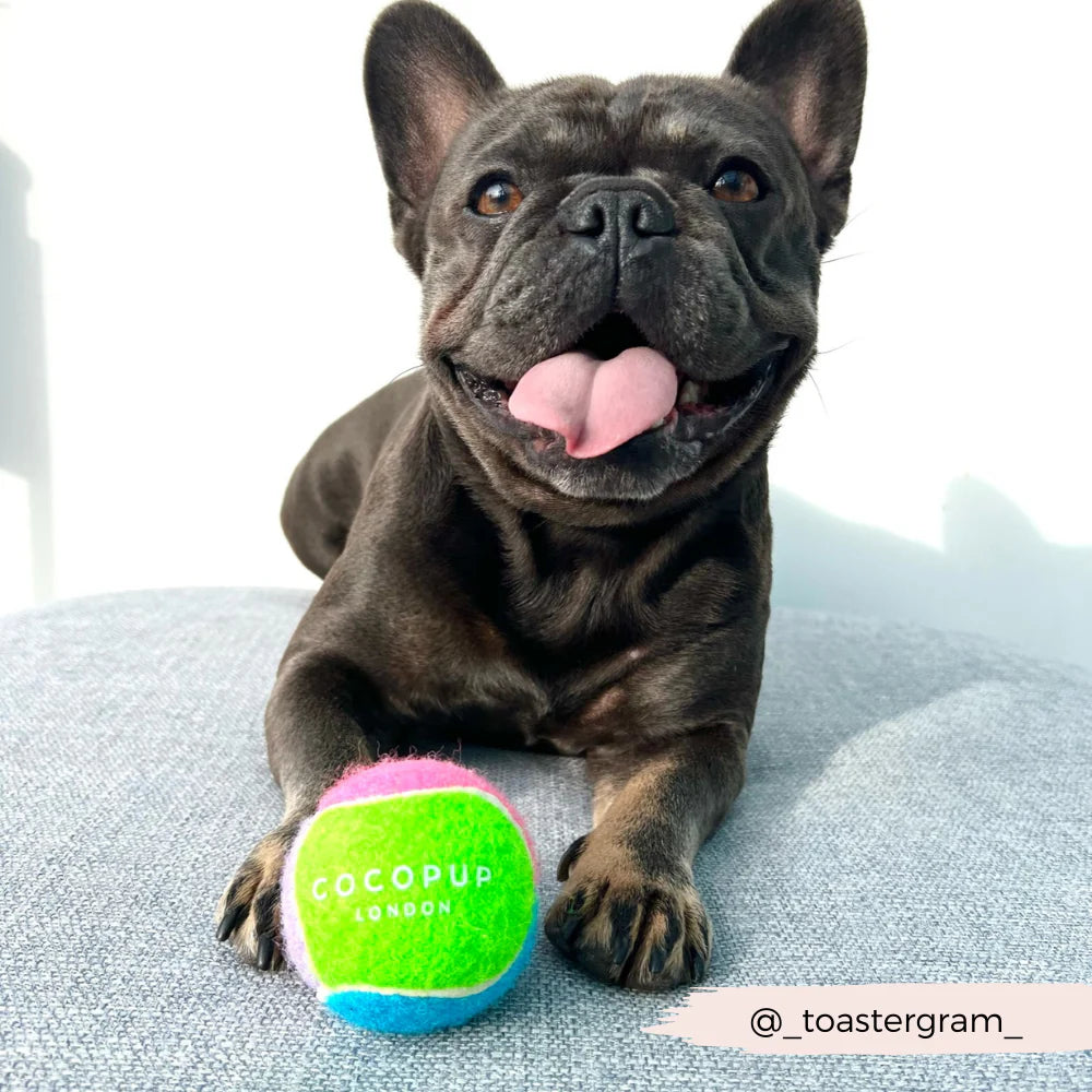 Tennis Ball - Bold & Bright - Pup&Puppy