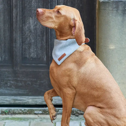 Bandana - Grey Tweed