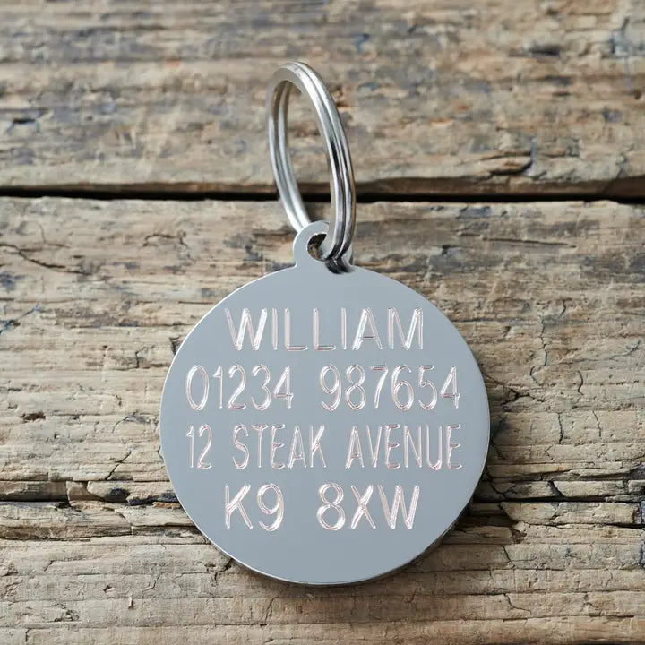 I JUST MET YOU THIS IS CRAZY" DOG ID NAME TAG