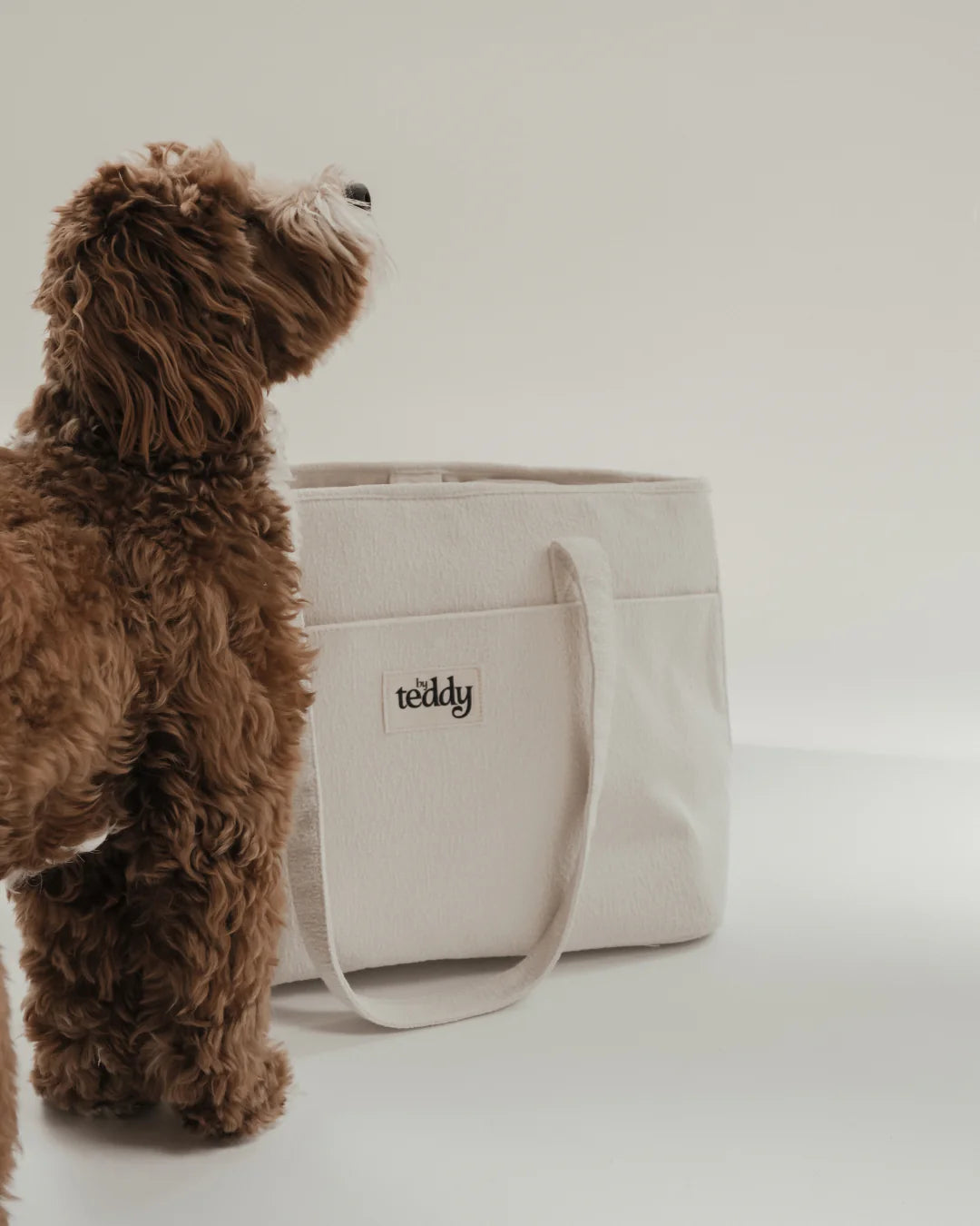 Marshmallow┃The Bouclé Carrier - Pup&Puppy