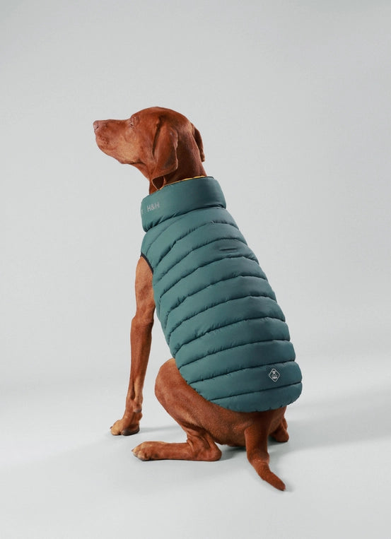 Dog Puffer Jacket, Forest Green & Gold - Pup&Puppy