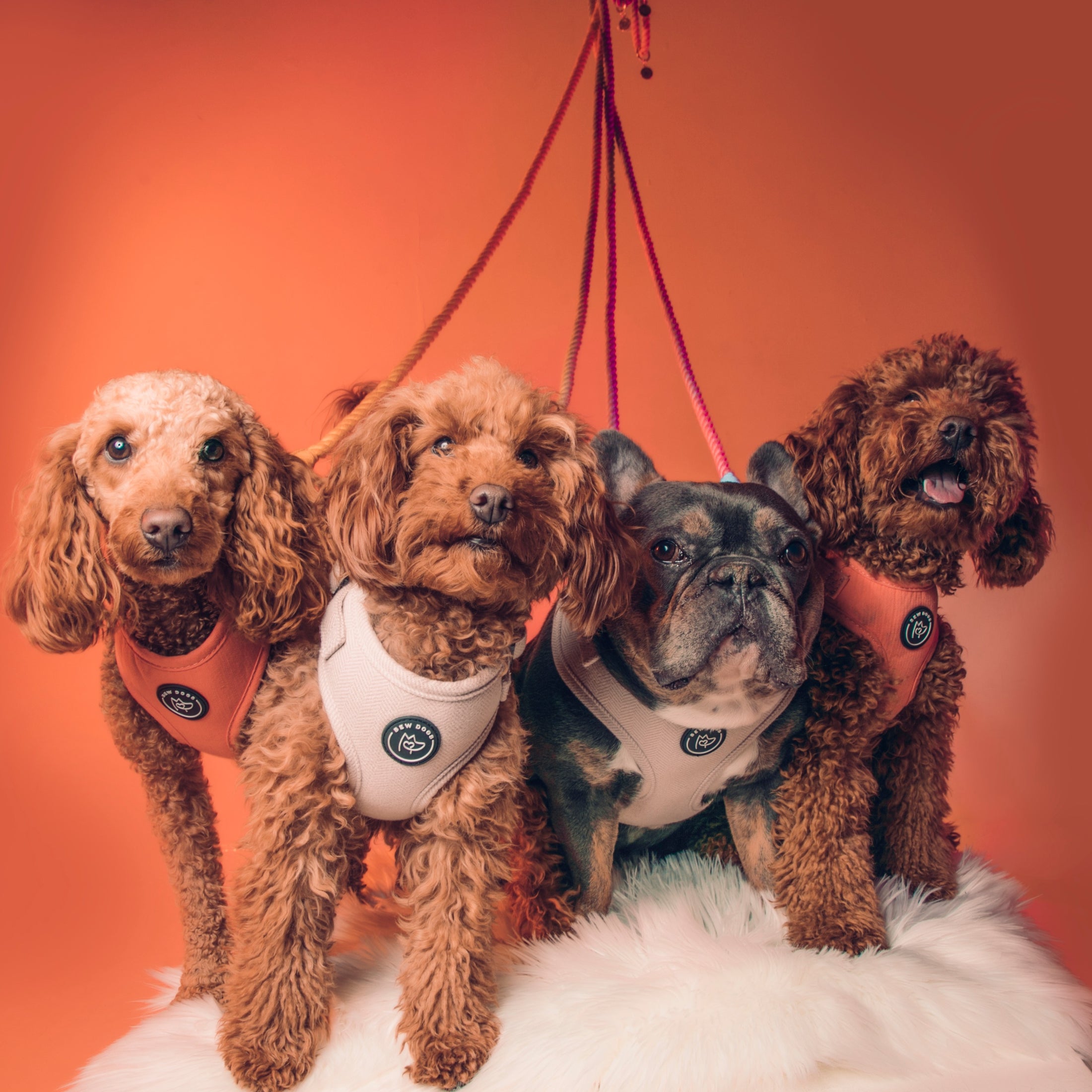 Herringbone Harnesses Peach Orange