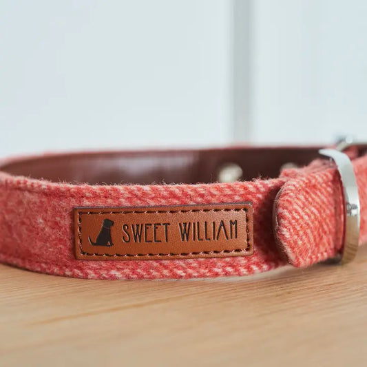 Dog Collar - Orange Tweed