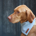Load image into Gallery viewer, Bandana - Grey Tweed
