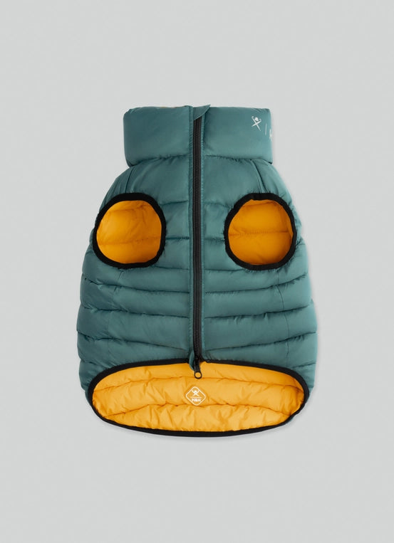 Dog Puffer Jacket, Forest Green & Gold - Pup&Puppy