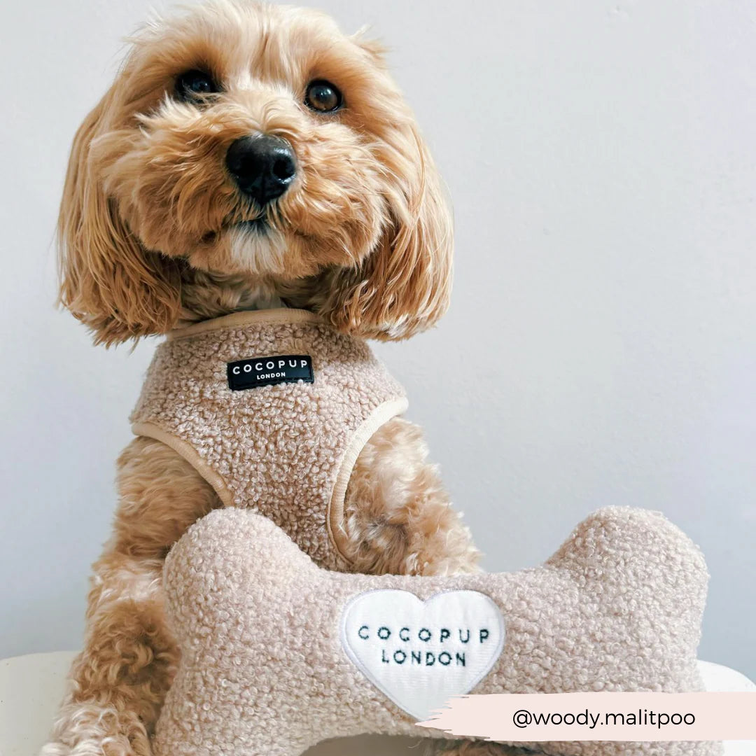 Teddy Rupert Bone Toy - Pup&Puppy