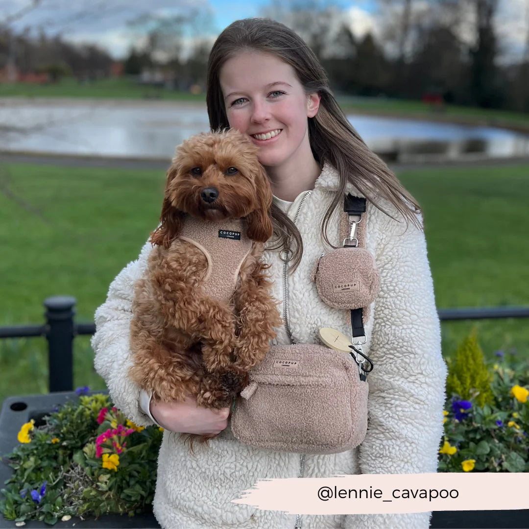 Dog Walking Bag - Teddy Rupert - Pup&Puppy