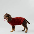 Load image into Gallery viewer, Cable Knit Pullover Dog Jumper - Brick - Pup&Puppy
