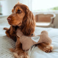 Load image into Gallery viewer, Teddy Rupert Bone Toy - Pup&Puppy
