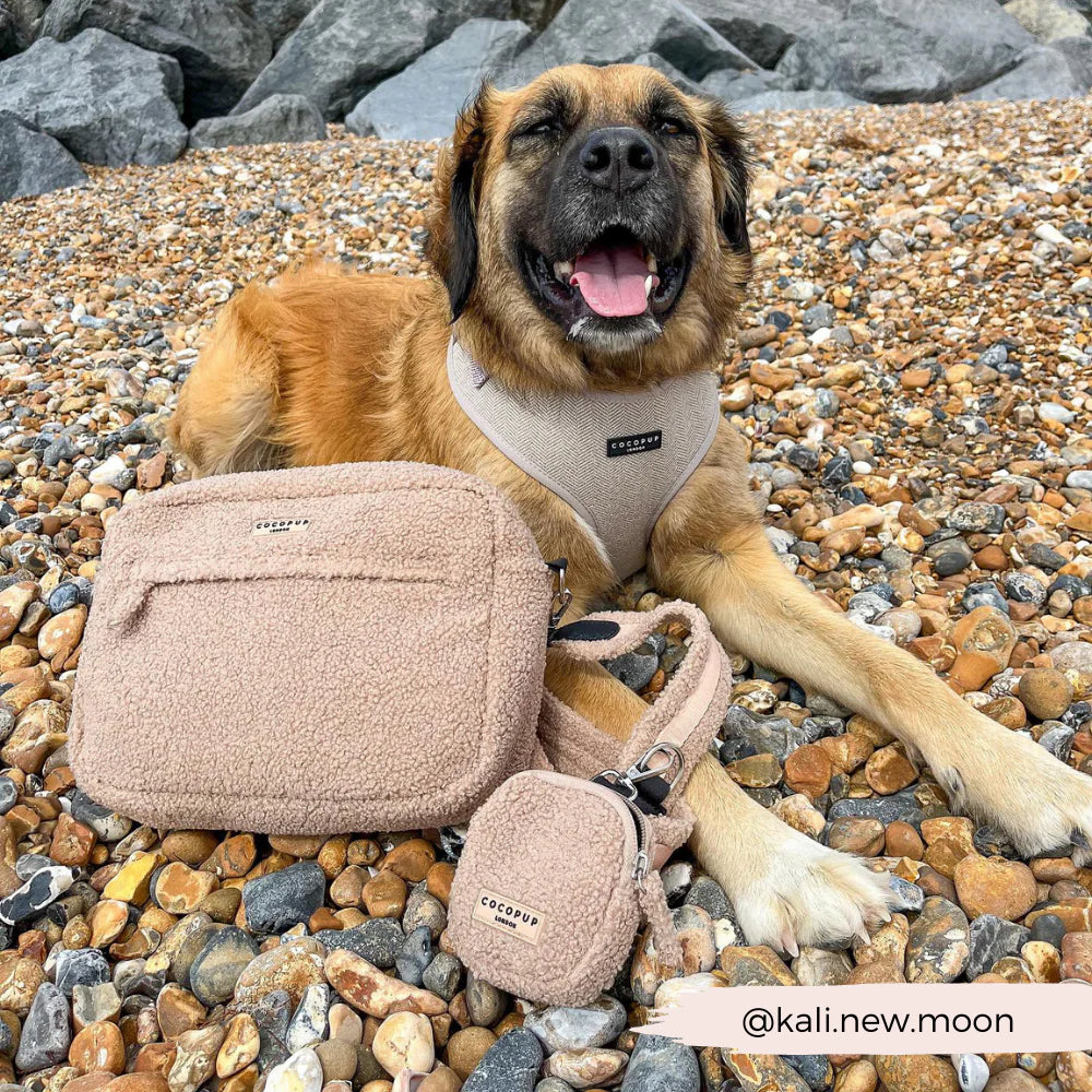 Treat Pouch - Teddy Rupert - Pup&Puppy