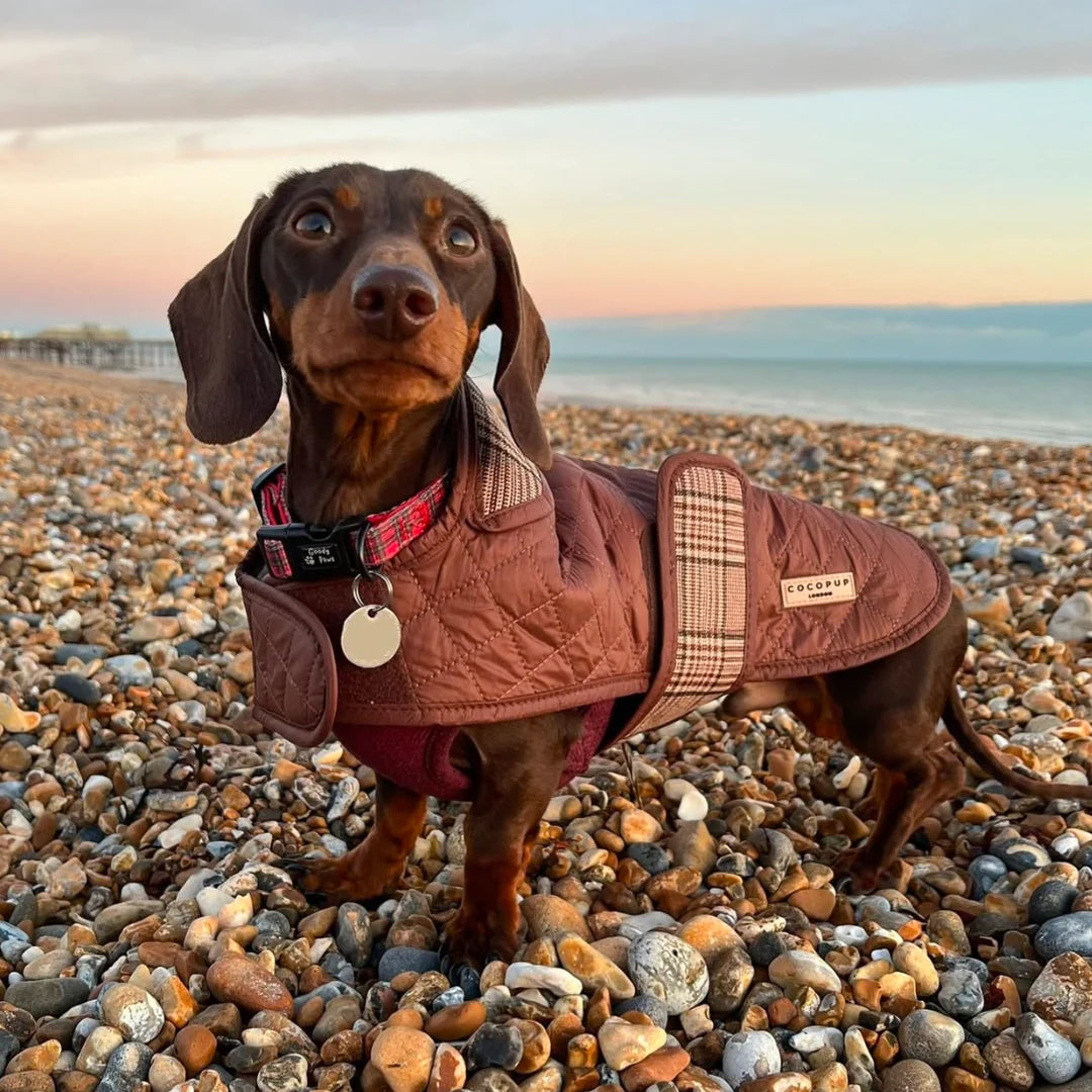 LUXE Quilted Dog Coat - Pup Plaid - Pup&Puppy