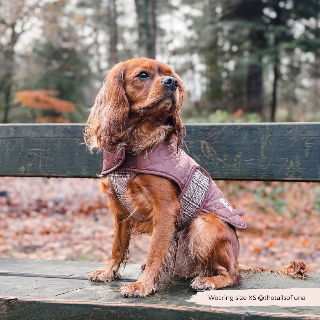 LUXE Quilted Dog Coat - Pup Plaid - Pup&Puppy