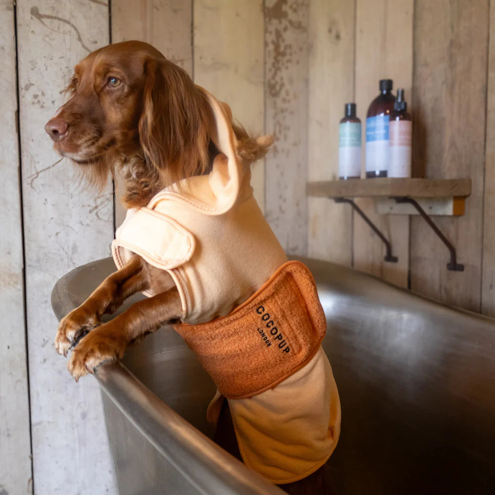 Roary the Lion Drying Robe - Pup&Puppy