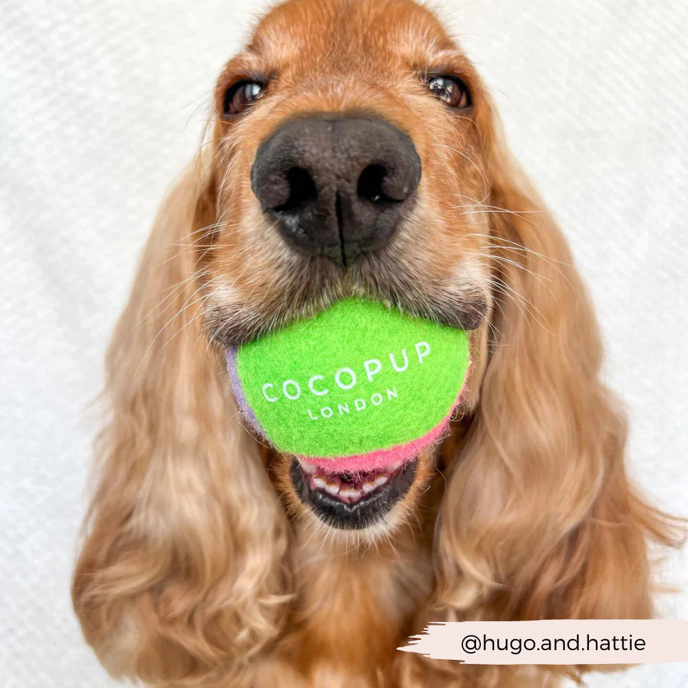 Tennis Ball - Bold & Bright - Pup&Puppy