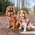 Load image into Gallery viewer, LUXE Quilted Dog Coat - Pup Plaid - Pup&Puppy
