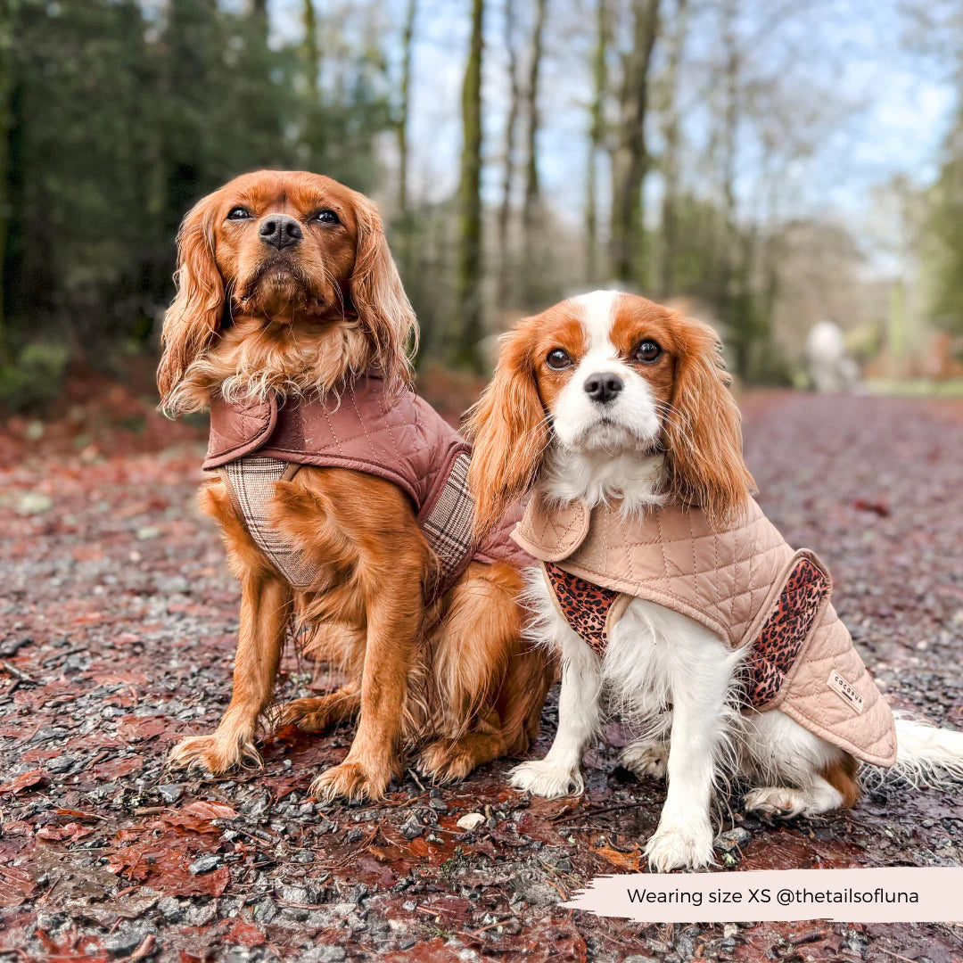 LUXE Quilted Dog Coat - Pup Plaid - Pup&Puppy