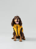 Load image into Gallery viewer, Dog Puffer Jacket, Forest Green & Gold - Pup&Puppy
