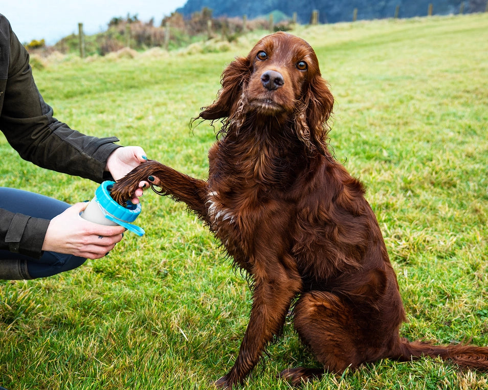 Adventure Paw Cleaner