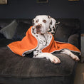 Load image into Gallery viewer, Puppy Blanket in Pumpkin Velvet
