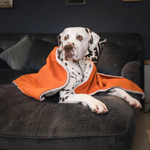 Puppy Blanket in Pumpkin Velvet