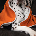 Load image into Gallery viewer, Puppy Blanket in Pumpkin Velvet
