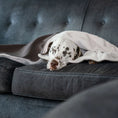 Load image into Gallery viewer, Puppy Blanket in Silt Velvet
