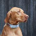 Load image into Gallery viewer, Dog Collar - Grey Tweed
