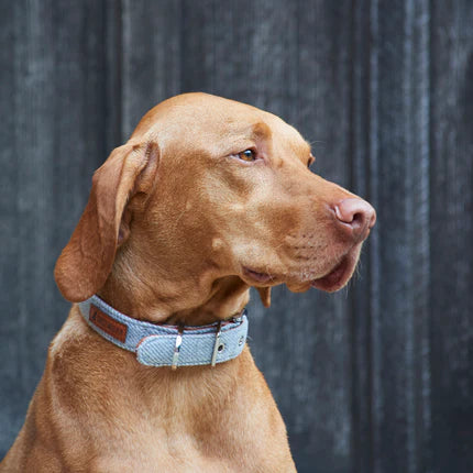 Dog Collar - Grey Tweed