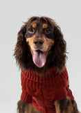 Load image into Gallery viewer, Cable Knit Pullover Dog Jumper - Brick - Pup&Puppy
