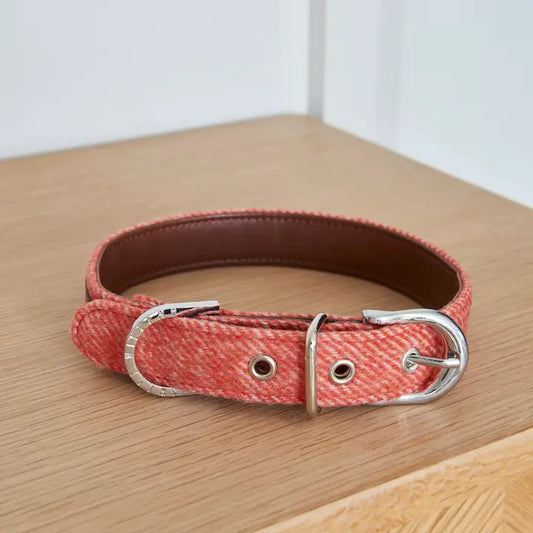 Dog Collar - Orange Tweed