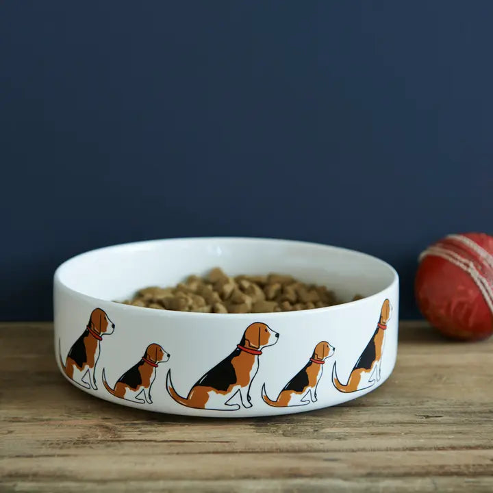 Beagle Dog Bowl - Pup&Puppy