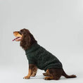 Load image into Gallery viewer, Cable Knit Pullover Dog Jumper - Green - Pup&Puppy
