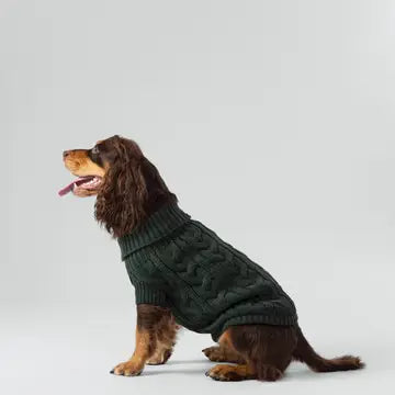 Cable Knit Pullover Dog Jumper - Green - Pup&Puppy