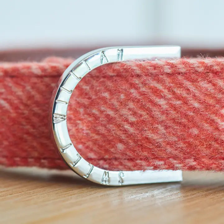 Dog Collar - Orange Tweed