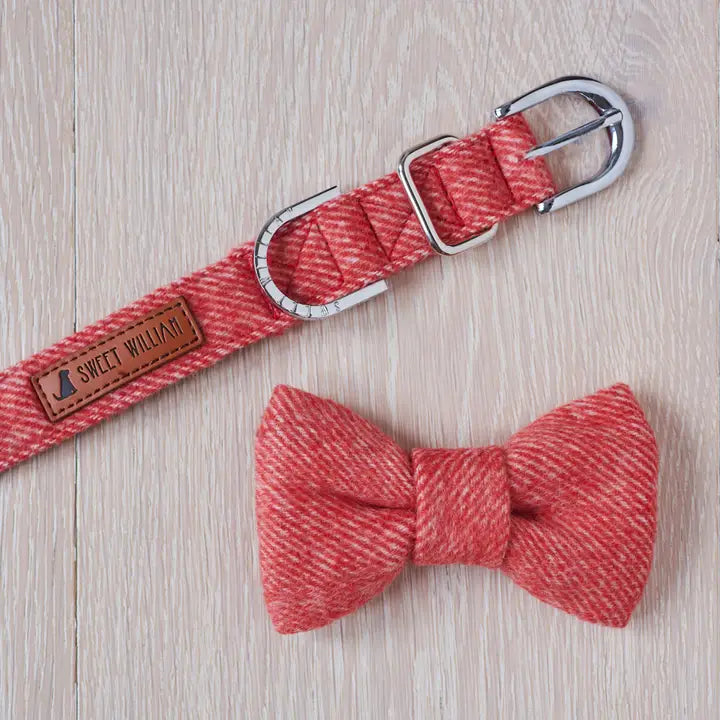 Bow Tie - Orange Tweed