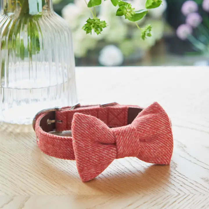 Bow Tie - Orange Tweed