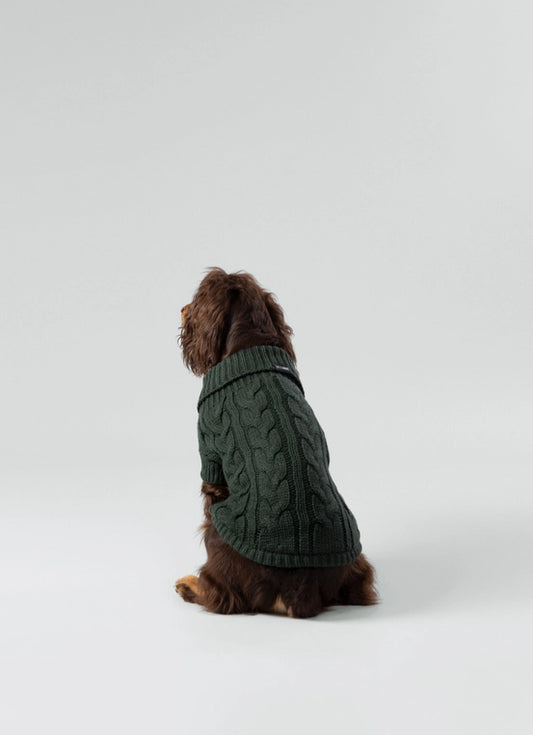 Cable Knit Pullover Dog Jumper - Green - Pup&Puppy