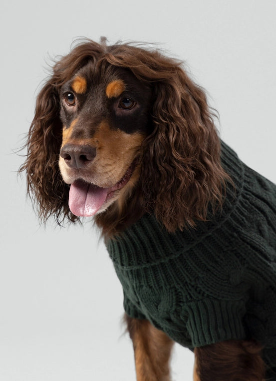 Cable Knit Pullover Dog Jumper - Green - Pup&Puppy